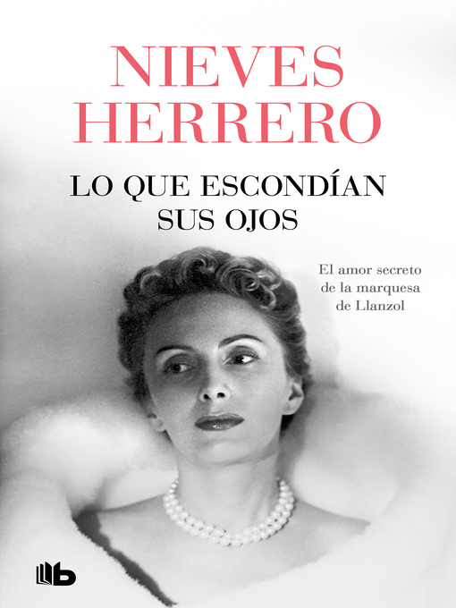 Title details for Lo que escondían sus ojos by Nieves Herrero - Wait list